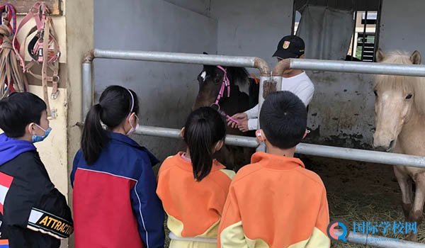 南京句容碧桂园学校 ：句容碧桂园特色选修课之马术课程感受