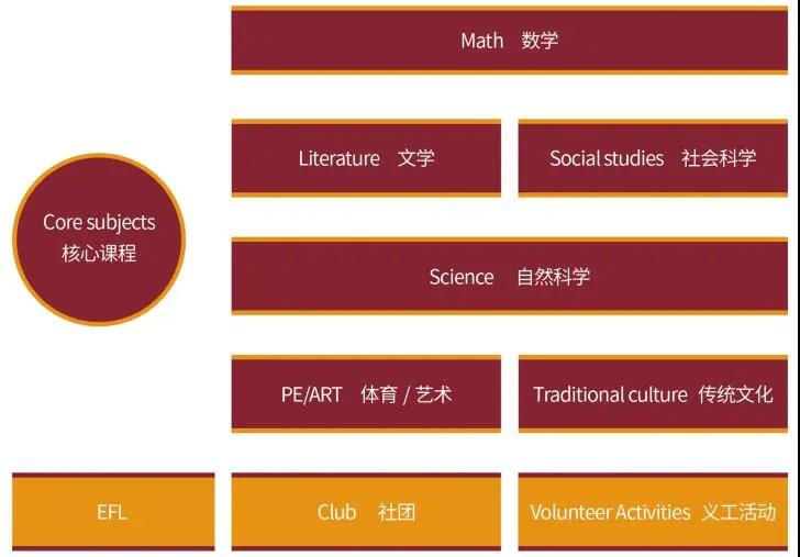 上海美达非国际学校课程设置有哪几种？分别适合哪类学生选择？