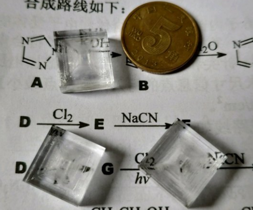 盘点国际学校的“奇葩”寒假作业 软糖拼DNA