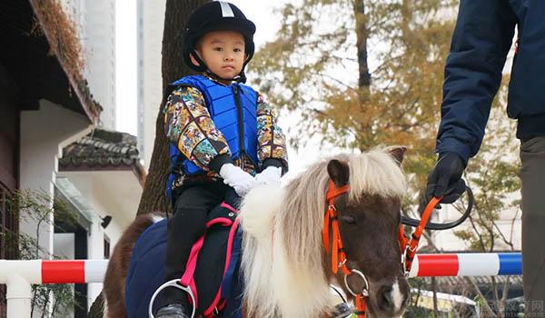 杭州桑庐私立幼儿园 ：杭州桑庐私立幼儿园健康座谈会来啦！