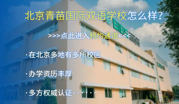 2022年春招必看！北京国际学校插班生择校攻略