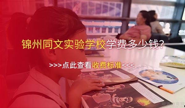 北大青鸟同文锦州实验学校 ：锦州同文学子从未参加特长班却能斩获大奖！