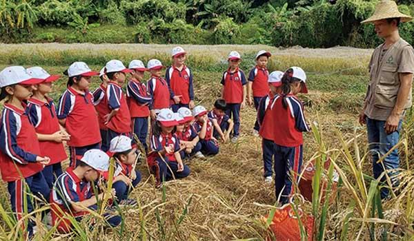 碧桂园十里银滩学校 ：碧桂园十里银滩学校小学部怎么样？学费贵吗？