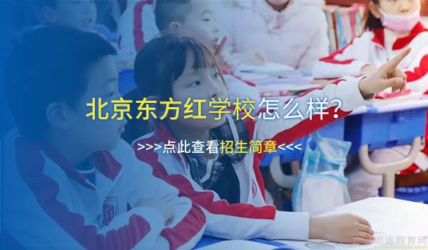 北京东方红学校 ：普林斯顿大学博士！东方红外方校长介绍