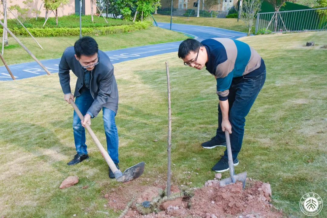 今天，你为地球充“植”了吗？ - 惠州培文