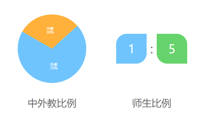 北京市朝阳区凯文学校国际艺术班介绍