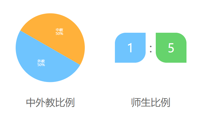 泰莱国际高中介绍