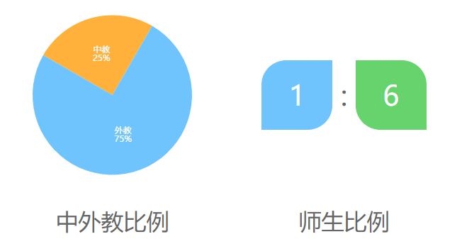 斯代文森国际学校介绍