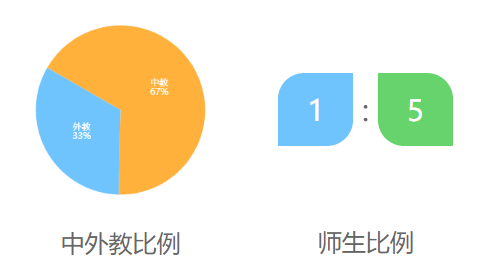 上海外国语大学附属外国语学校国际部介绍