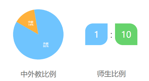 上海惠灵顿国际学校介绍