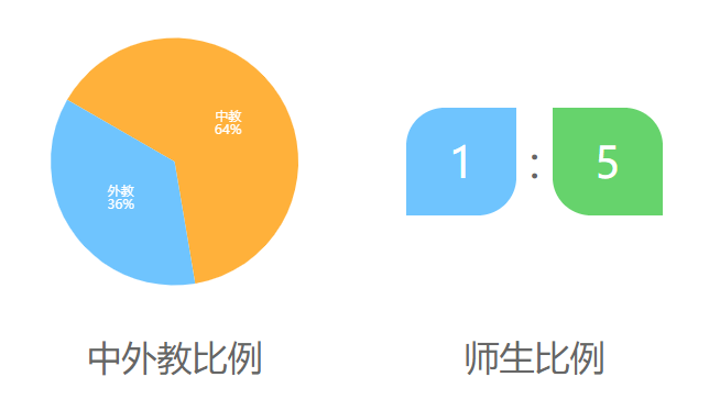 深圳市石岩公学介绍