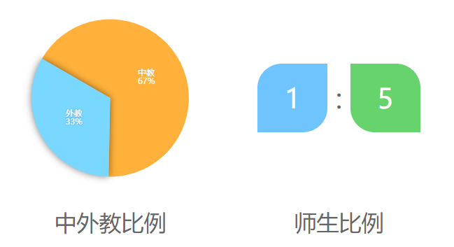 上海李文斯顿国际学校介绍