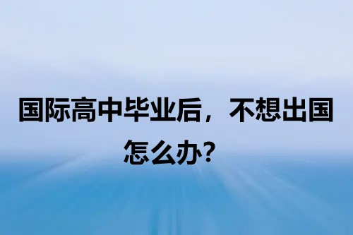 国际高中毕业后，不想出国留学，该怎么办?