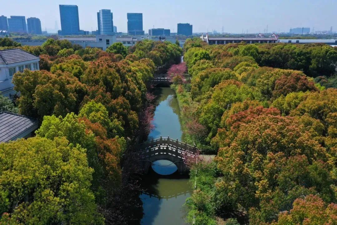 西交利物浦大学附属学校怎么样呢?西浦更多精彩等你发现                