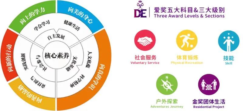 苏州北大新世纪世恒学校怎么样呢?网课再创奇迹！                