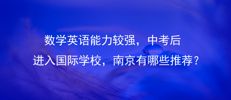 如果孩子数学英语能力较强，中考后进入国际学校，南京有哪些推荐?