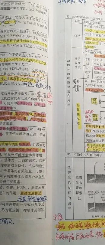 协和双语教科学校作业巧设计，云上展风采 ！                