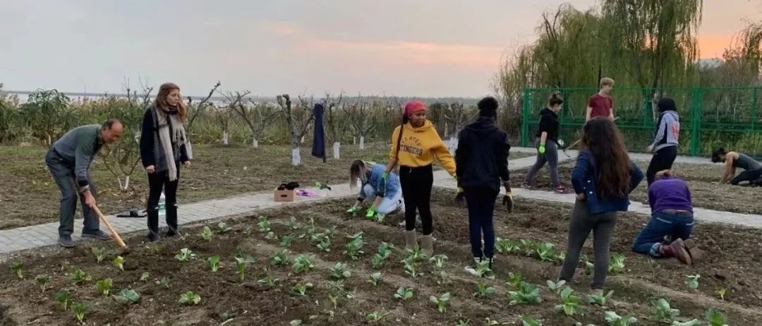 与泥土作伴，我要去大学续写我的农业梦——我在UWC的故事                