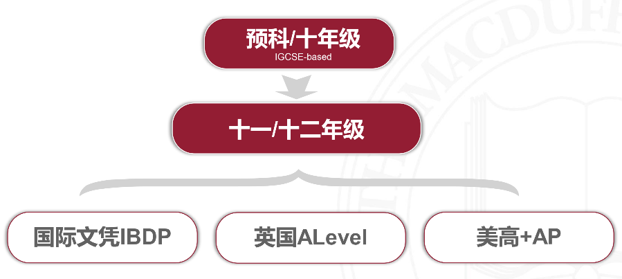 上海美达菲学校德育校长访谈坚守职责，好的教育能唤醒孩子的灵魂                