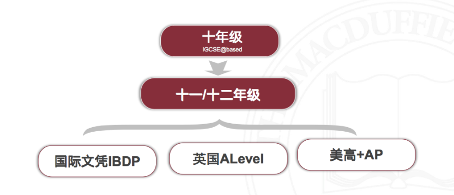 上海美达菲学校让家长放心的学校！这所国际学校拥有上海最全的办学资质！                