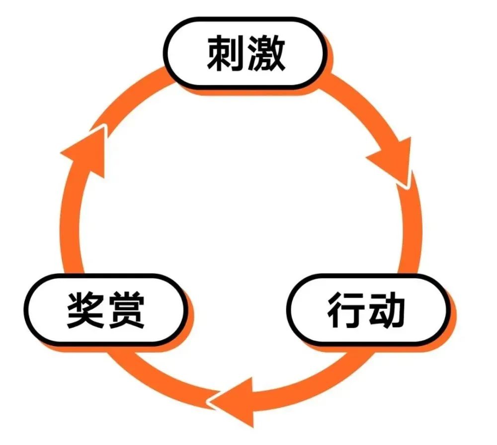 北京四中国际课程佳莲校区暑期建议                