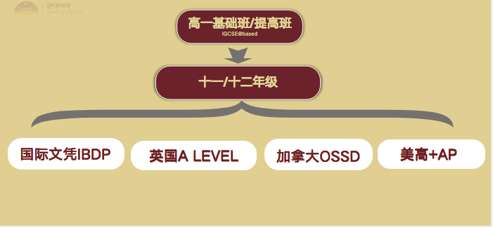 上海美达菲学校国际学校升学规划指南                