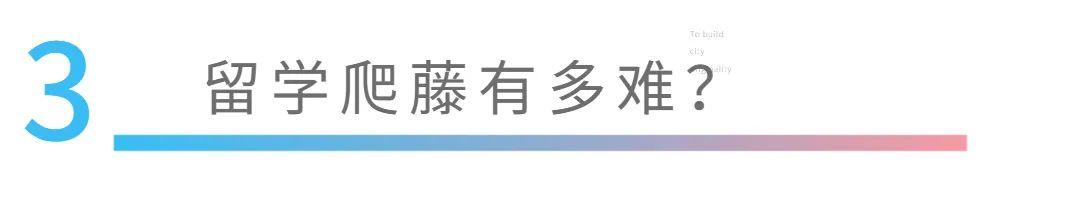 985211藤校哪一个录取更难?                