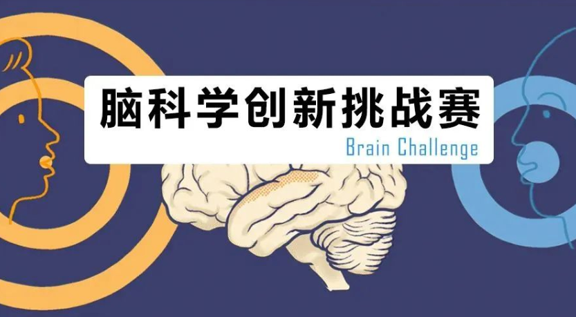 喜报l成都七中国际部学子脑科学创新挑战赛（Brain Challenge）斩获全国一等奖和二等奖 _ 成都七中国际部