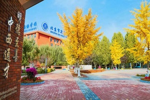 北京新府学外国语学校招生对象与招生标准是什么? _ 北京新府学外国语学校