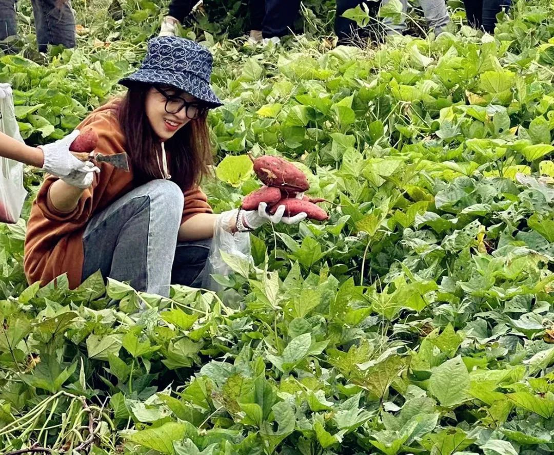 江苏省苏州实验中学AP中心秋游记                