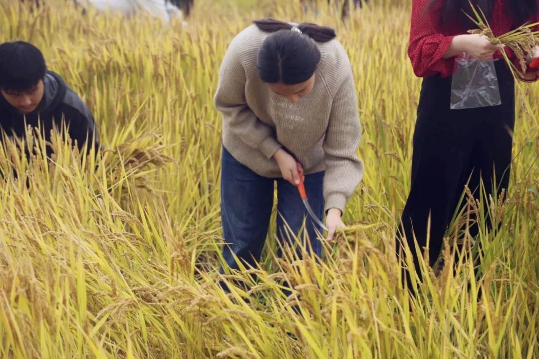 江苏省苏州实验中学AP中心秋游记                