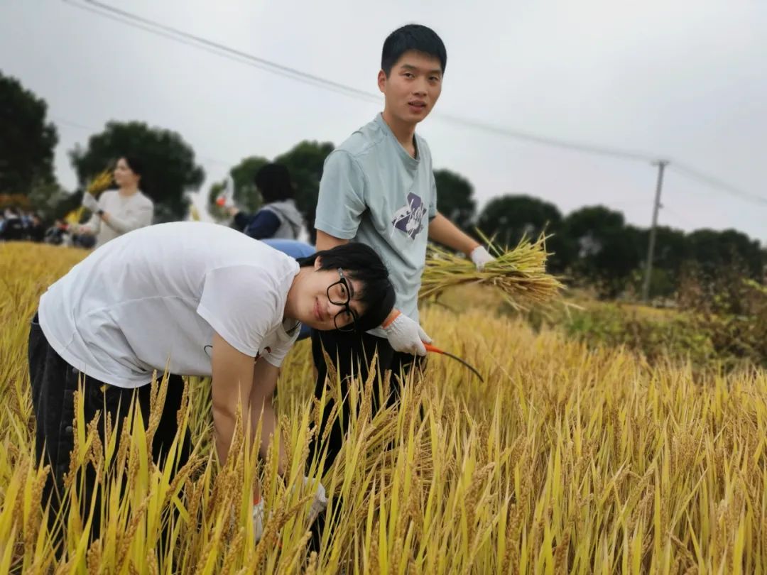 江苏省苏州实验中学AP中心秋游记                