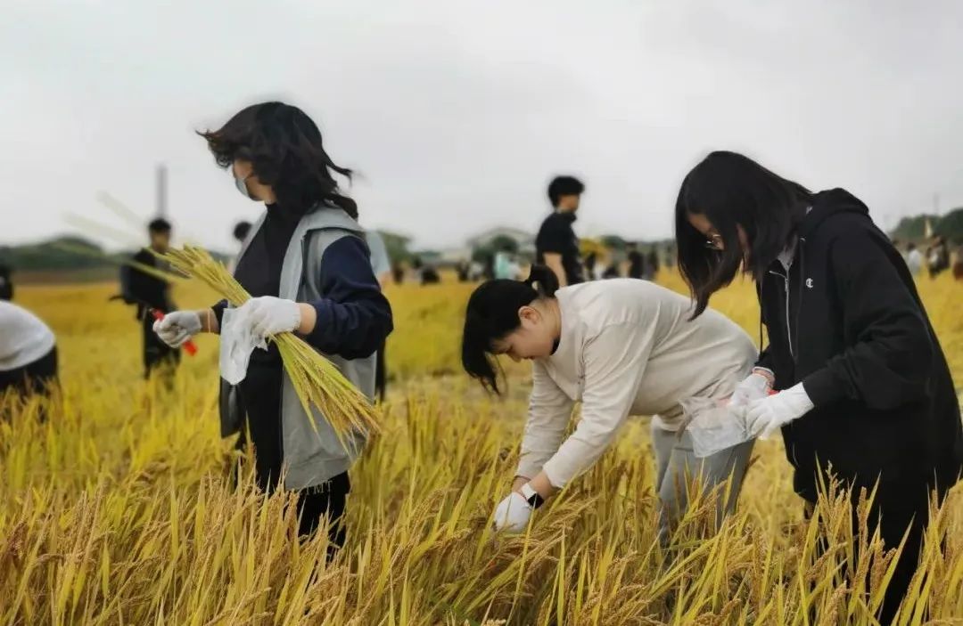 江苏省苏州实验中学AP中心秋游记                