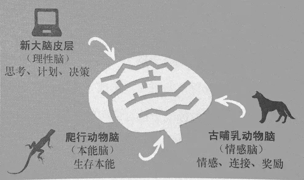 华南师范大学附属中学心理指引：如何就手机使用问题达成亲子之间的和平共处                