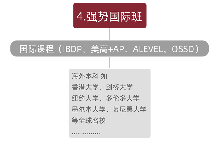 上海美达菲双语高级中学2023年秋季招生入学 _ 上海美达菲学校