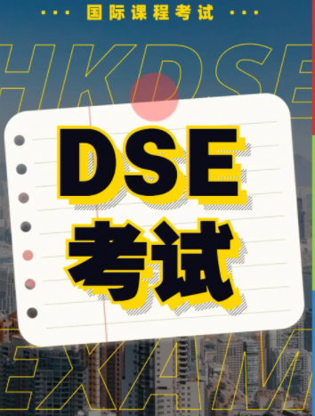 DSE采用什么语言教学?