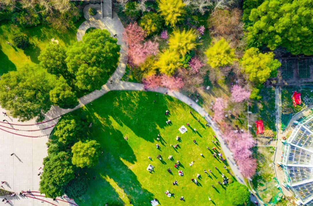 武汉大学：科学佩戴口罩，看这里！                