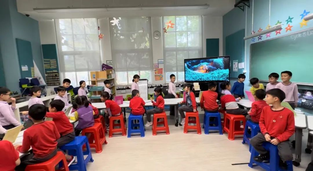 清澜山学校TsinglanSchool：G1 Young Author’s Publishing Party                