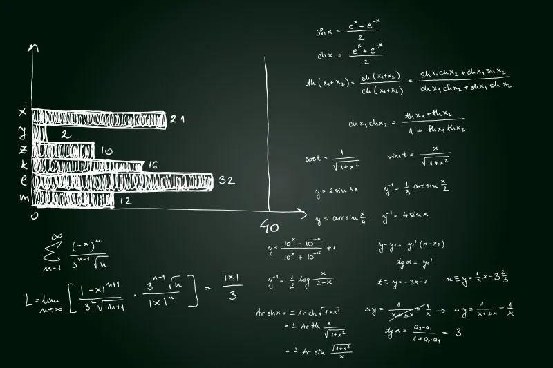 中育贝拉国际教育：我为什么要学数学?                